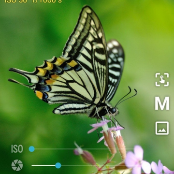 HedgeCam 2相机 HedgeCam 2相机