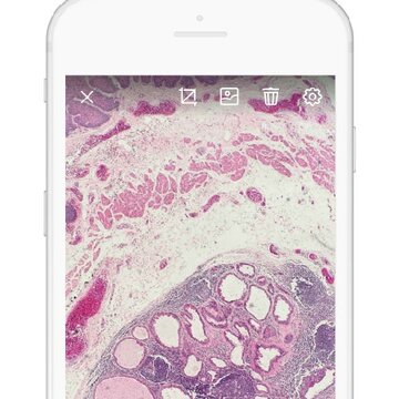 ������app