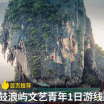 海鸟飞鱼 海鸟飞鱼