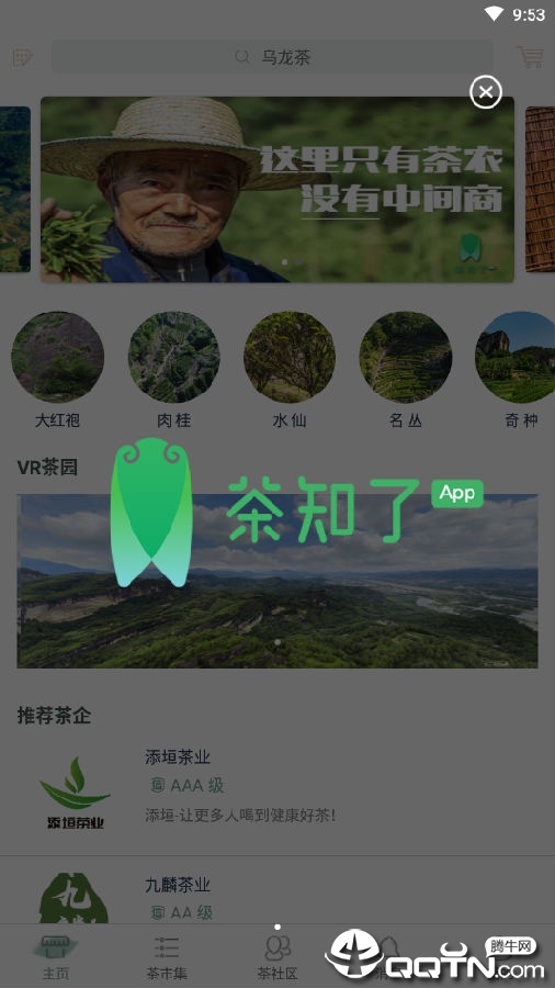 茶知了 茶知了