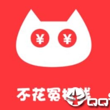 呆猫 呆猫
