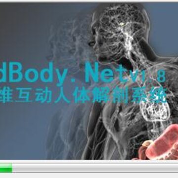 3Dbody