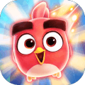 ��񵯵����ڹ���v1.0.1 ��׿��
