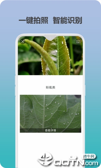 ��׼ʶ��appv1.0.0 ��׿��