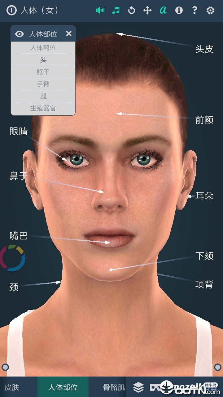 Human body (female)�������Ů��v1.0 ��׿��