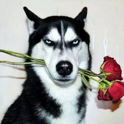 ��Ϧ��Ц���Ӵ�ȫ2019 ��Ϧ΢��˵˵Ц��������