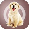 �˹�������-���﷭����ios��v1.1.2 iPhone��
