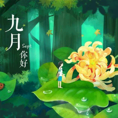 �����簲������־��ȫ 2019���µ�һ���簲˵˵����