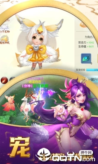 ����ʦ