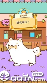 Shiba Force(��Ȯ����)v1.0.2 ��׿��
