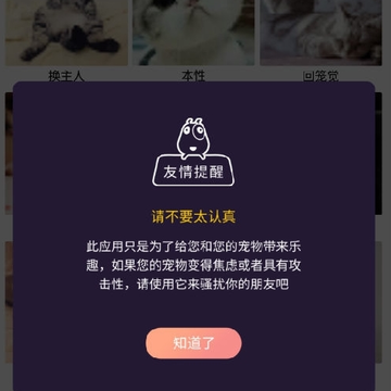 自贸猫语翻译 自贸猫语翻译