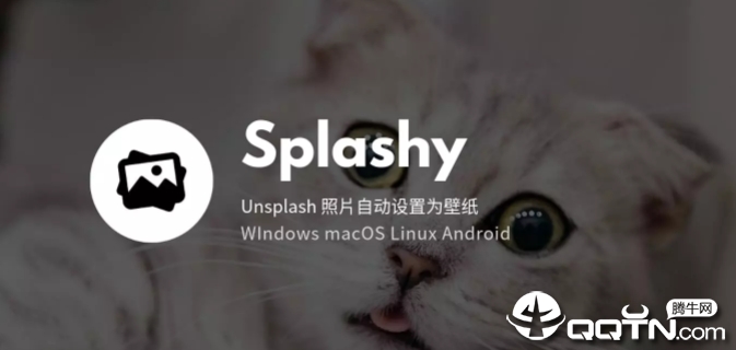 Splashy��ֽ