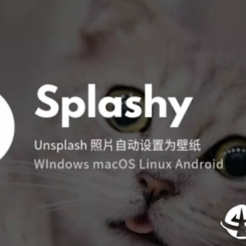 Splashy��ֽ