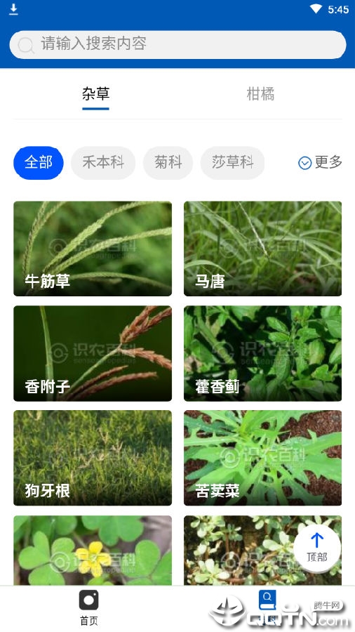 识农 识农