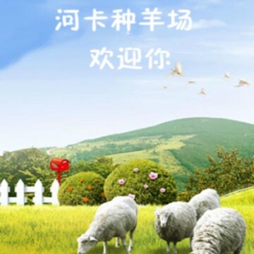 种羊场 种羊场