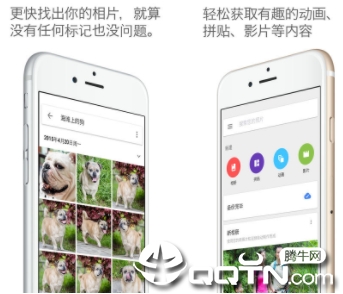 �ȸ����app