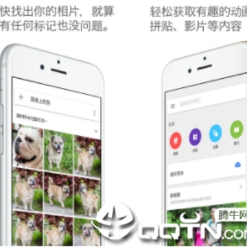 �ȸ����app