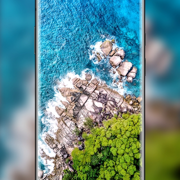 wallpaper expert