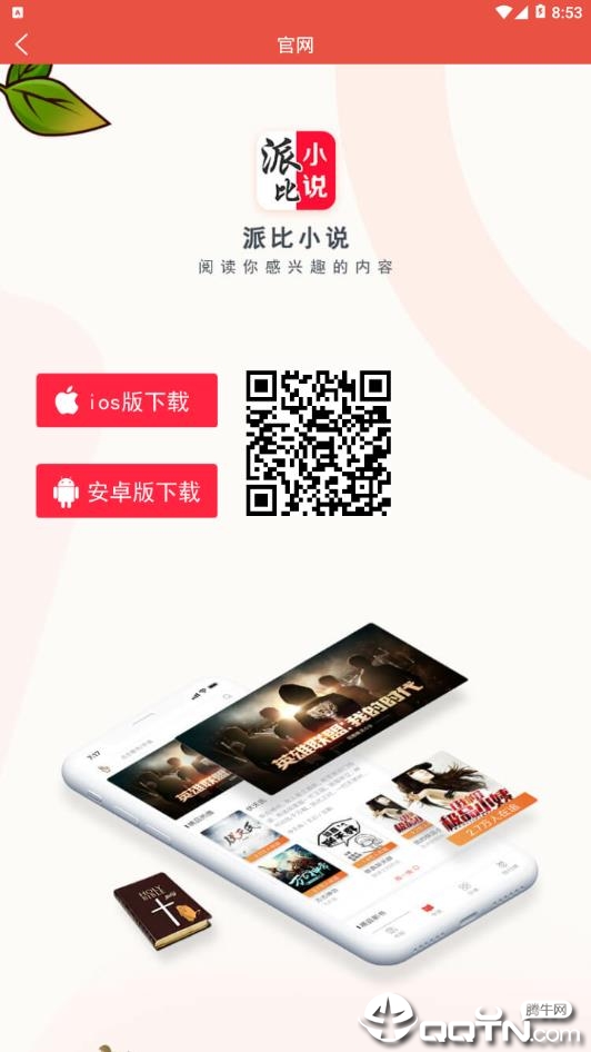 �ɱ�С˵ios��
