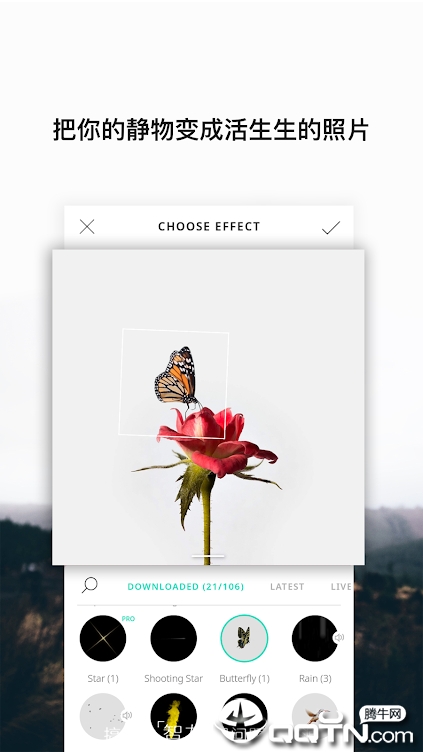 vimage���İ�app