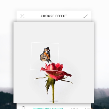 vimage���İ�app