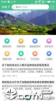 森林百科 森林百科