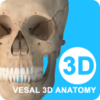 ά����3D����appv4.7.0 ���°�