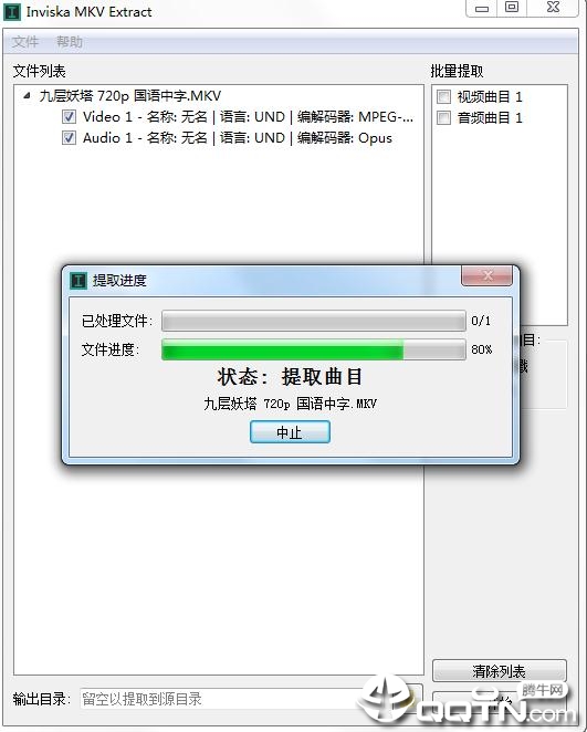 Inviska MKV Extractv11.0 免费版
