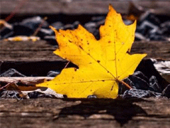 һ�����������Ȧ˵˵ 2019������仯���˵˵