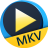 Aiseesoft Free MKV Playerv6.6.10 �ٷ���