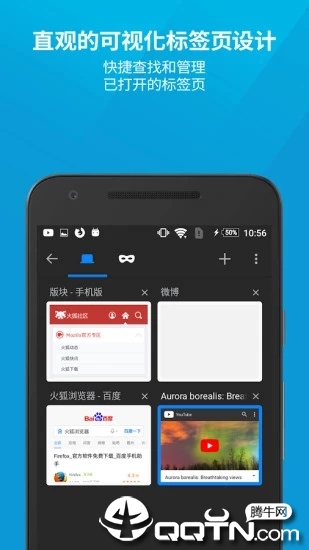 FlashFox Pro���������������v34.0 ��׿��