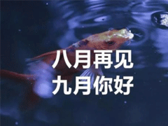 �����ټ��������˵˵ ȫ�¾������˵˵��ȫ2019
