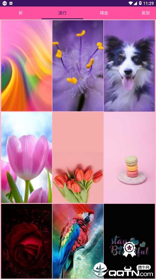 Ů����ֽv3.9 ��׿��