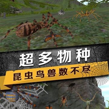 蜘蛛模拟生存 蜘蛛模拟生存