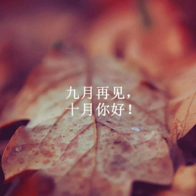 2019ʮ������������ �����ټ�ʮ�����΢��˵˵