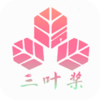��Ҷ��ȯv1.0.7 ��׿��