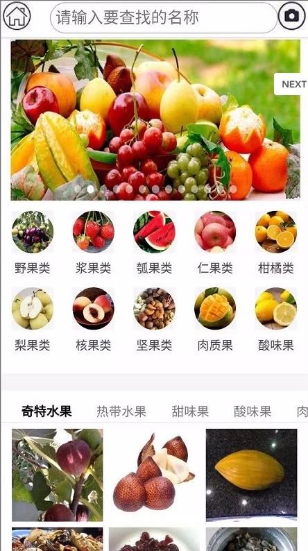 ˮ���ٿ�app����