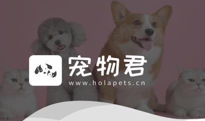 �����app