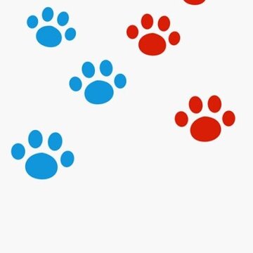 喵喵饭app 喵喵饭app