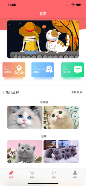 亲爱的猫咪app 亲爱的猫咪app
