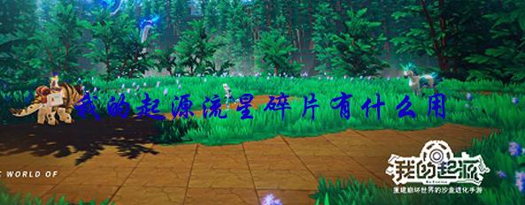 我的起源流星碎片有什么用 流星碎片作用详解 我的起源流星碎片有什么用 流星碎片作用详解
