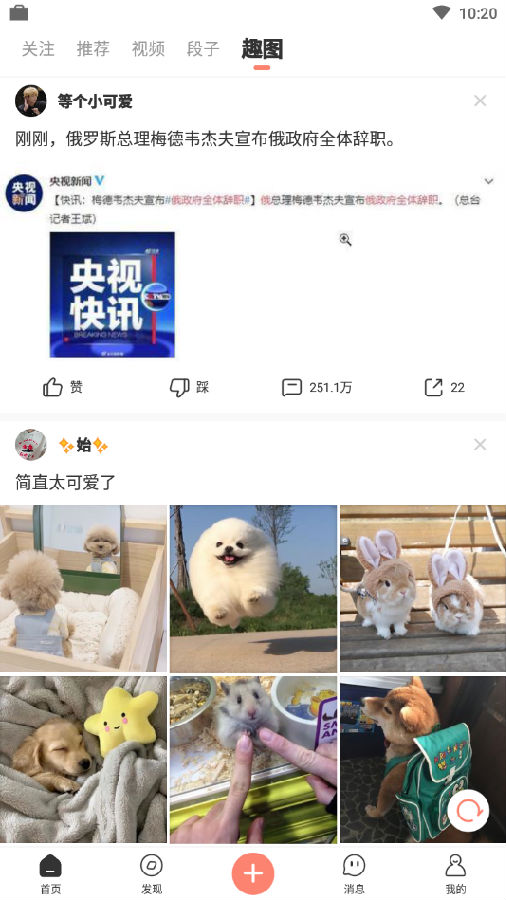 ����С��Ƶ