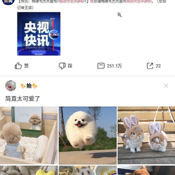 ����С��Ƶ