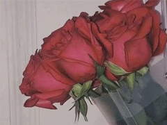 �ʺ�����Ȧ����ǩ�����İ� ΢�Ÿ���ǩ����̸ɾ�