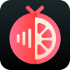 ��������appv6.6.0 ��׿��