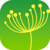 �ѹ�ӢTV appv3.3.0 ���°�