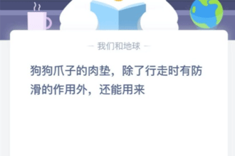 ����צ�ӵ���棬��������ʱ�з����������⣬����������