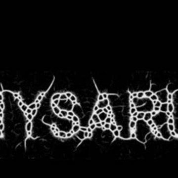 AEģ�����ݾ�ù�������������Physarum