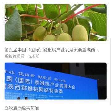 ����ͨapp