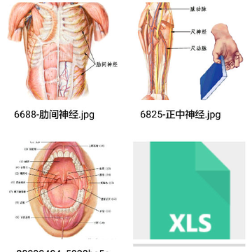 移动教学学生端App 移动教学学生端App